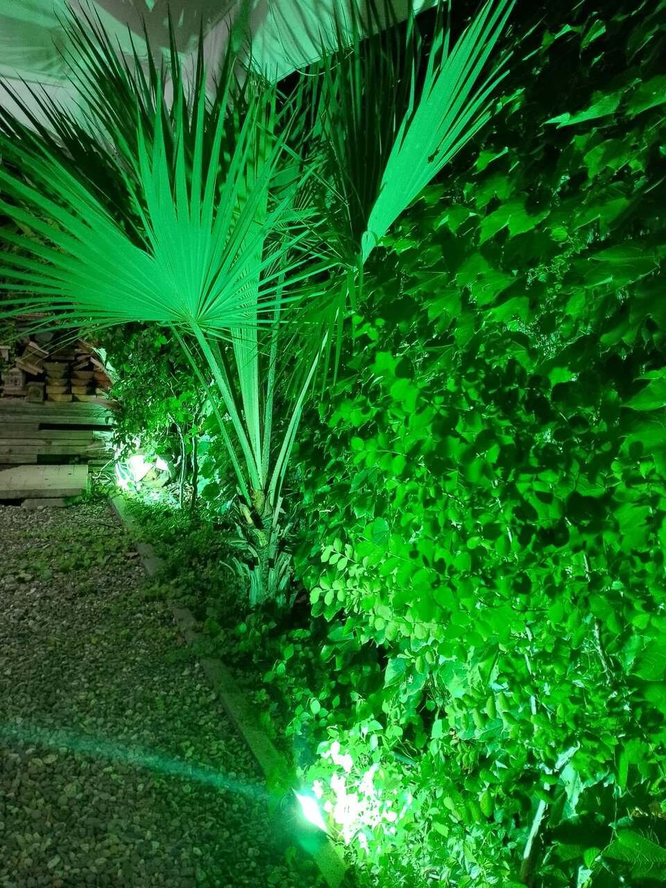 Гостиница Айсберг Лазаревское-52