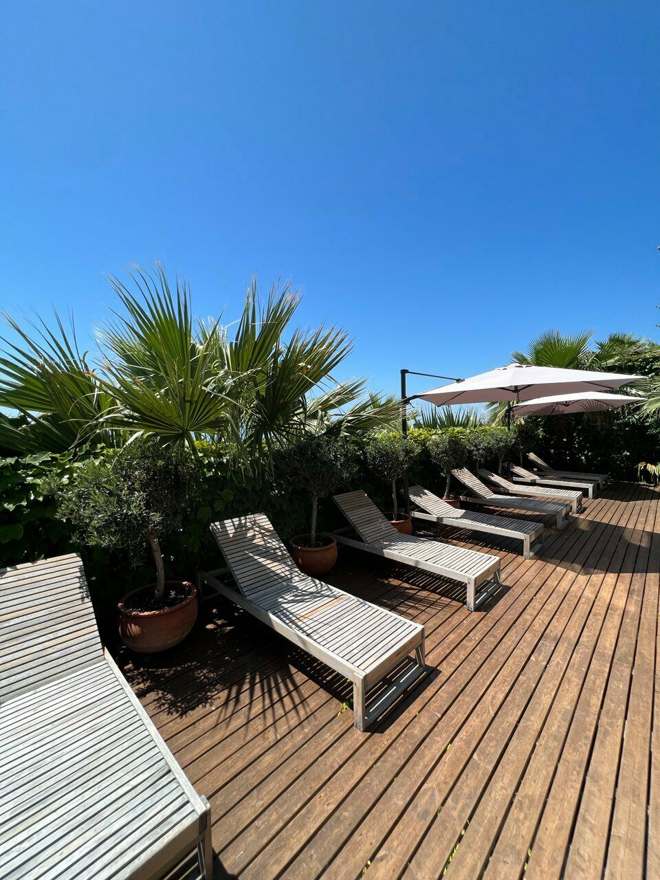 Гостиница Айсберг Лазаревское-38