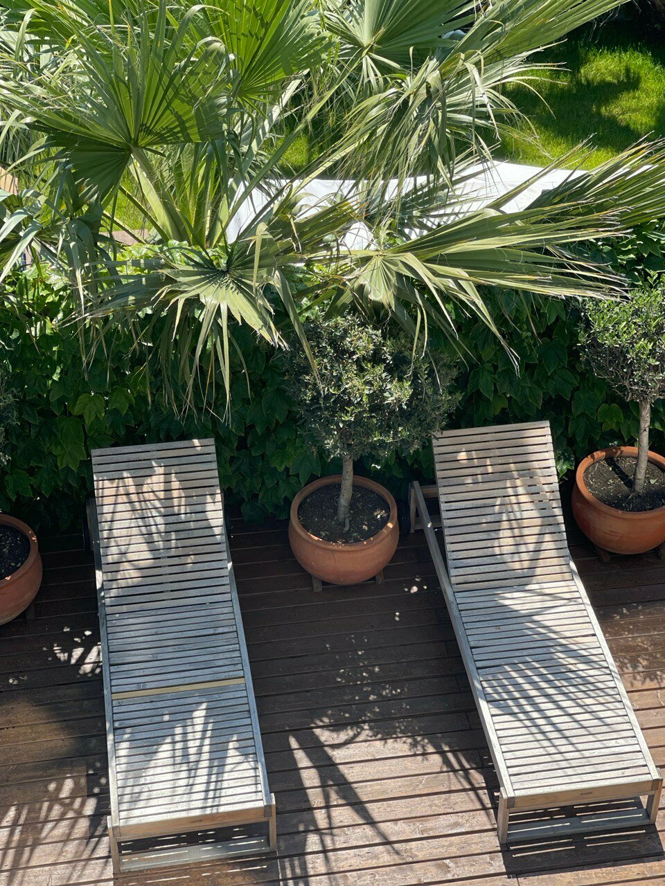 Гостиница Айсберг Лазаревское-24