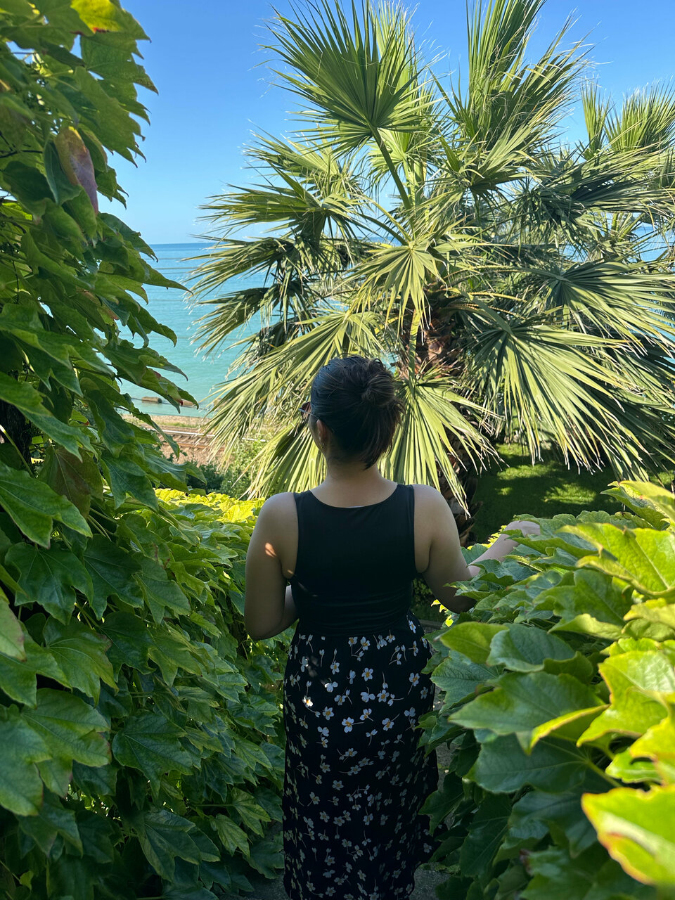 Гостиница Айсберг Лазаревское-70