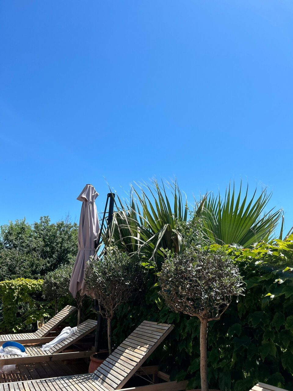 Гостиница Айсберг Лазаревское-104