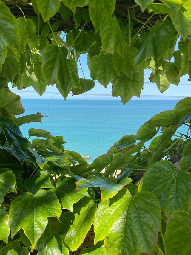 Гостиница Айсберг Лазаревское-46