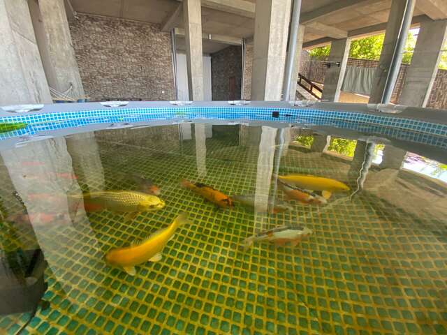 Гостиница Айсберг Лазаревское-43