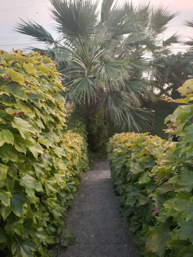 Гостиница Айсберг Лазаревское-95